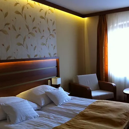 Hotel Aranybanya Telkibánya